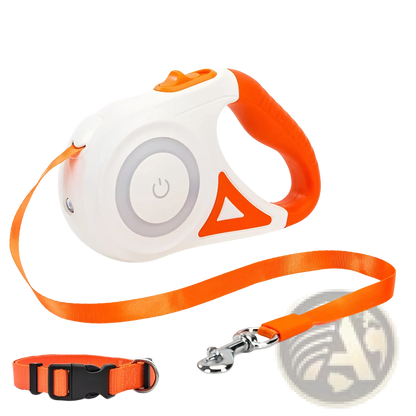 Retractable Dog Leash with Led Light and Collar Set