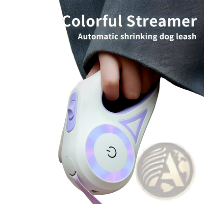 Retractable Dog Leash with Led Light and Collar Set