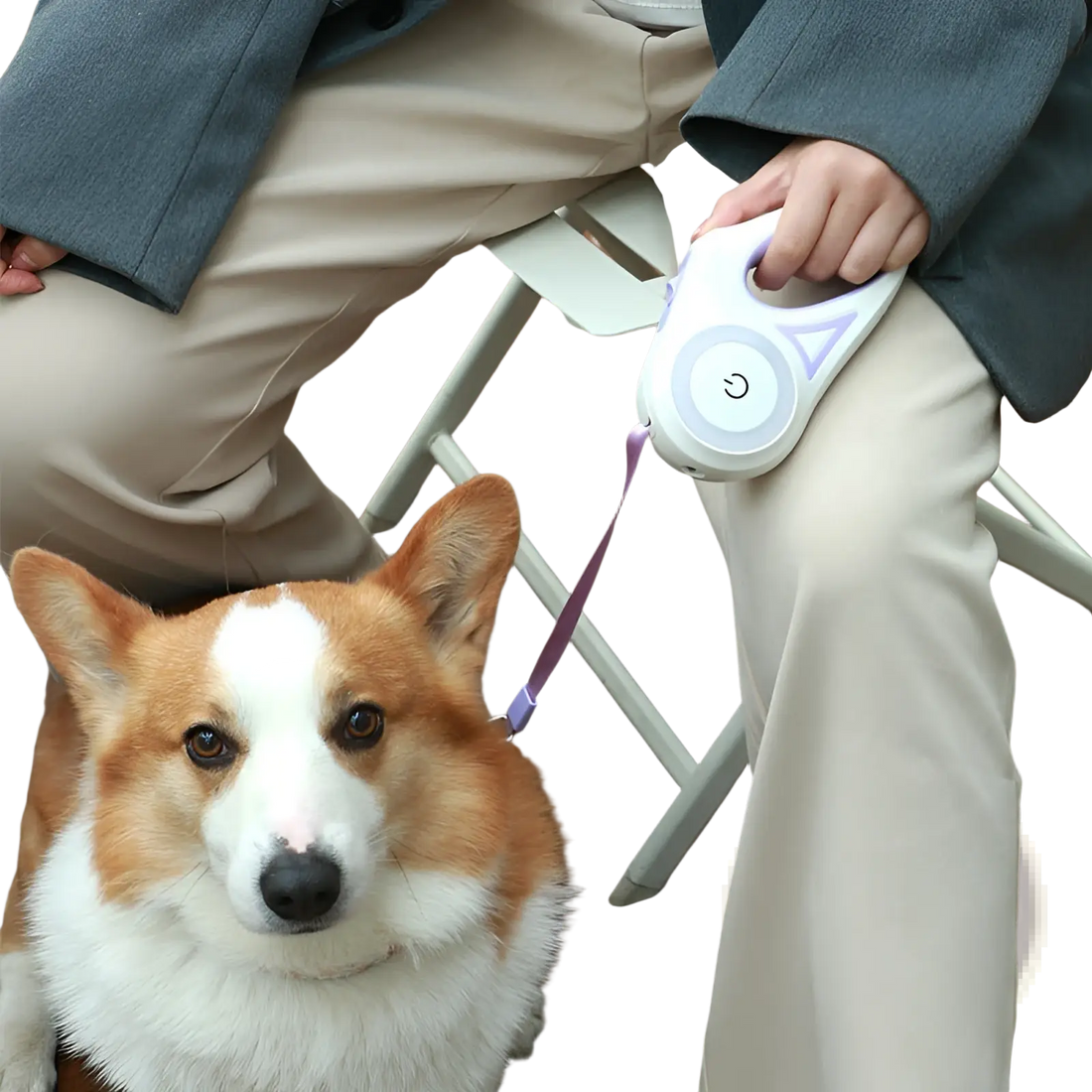 Retractable Dog Leash with Led Light and Collar Set