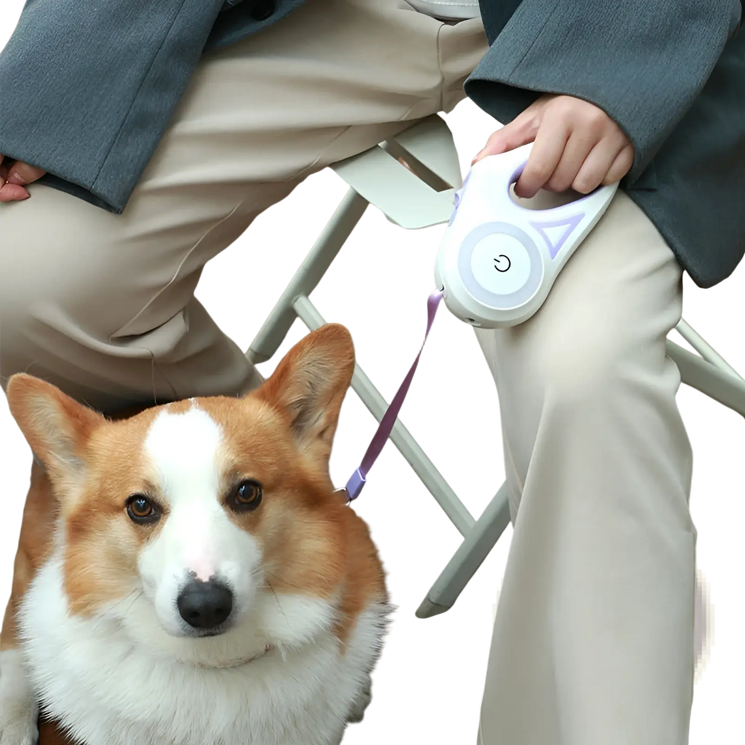 Retractable Dog Leash with Led Light and Collar Set