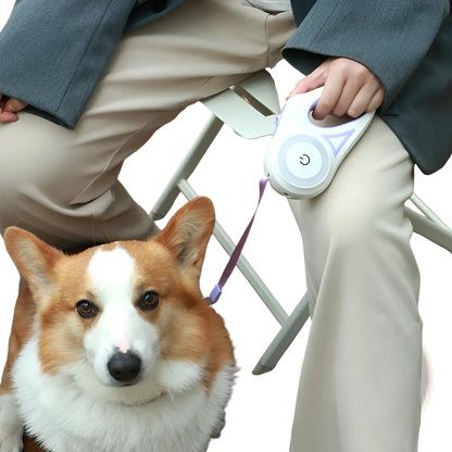 Retractable Dog Leash with Led Light and Collar Set