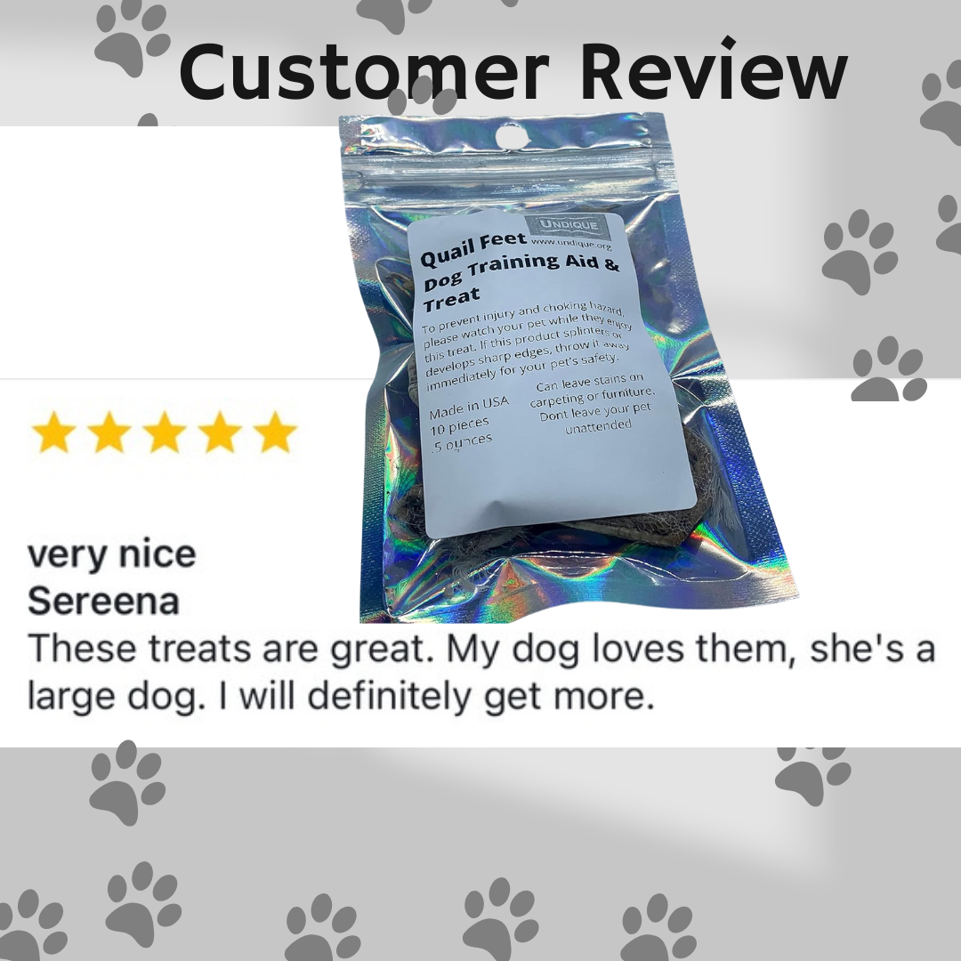 Quail feet Dog Training aid &amp; Treat