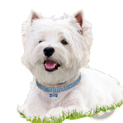Rhinestone Dog Collar with Crystal Bone Charm
