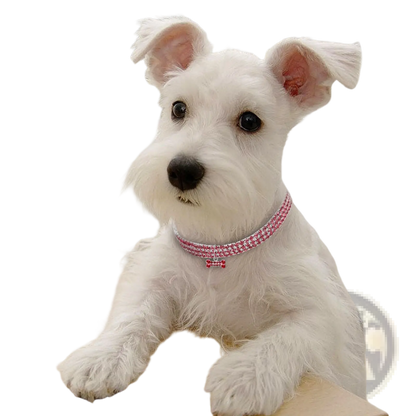 Rhinestone Dog Collar with Crystal Bone Charm