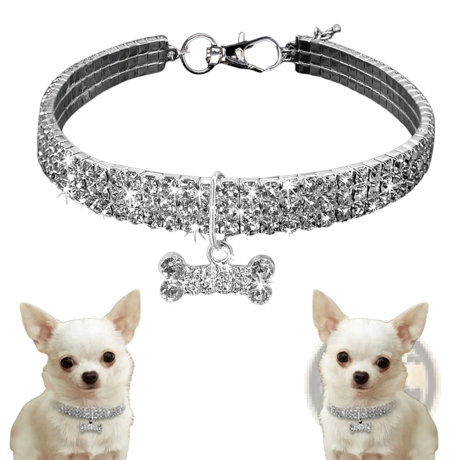 Rhinestone Dog Collar with Crystal Bone Charm