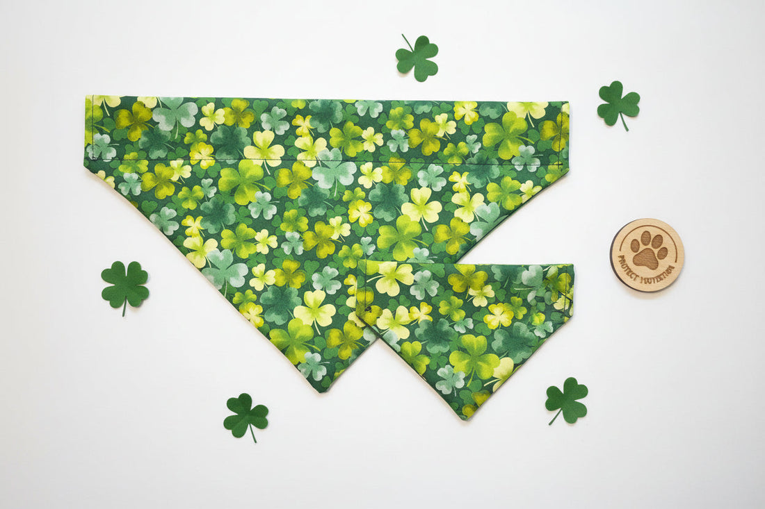 Saint Patrick&
