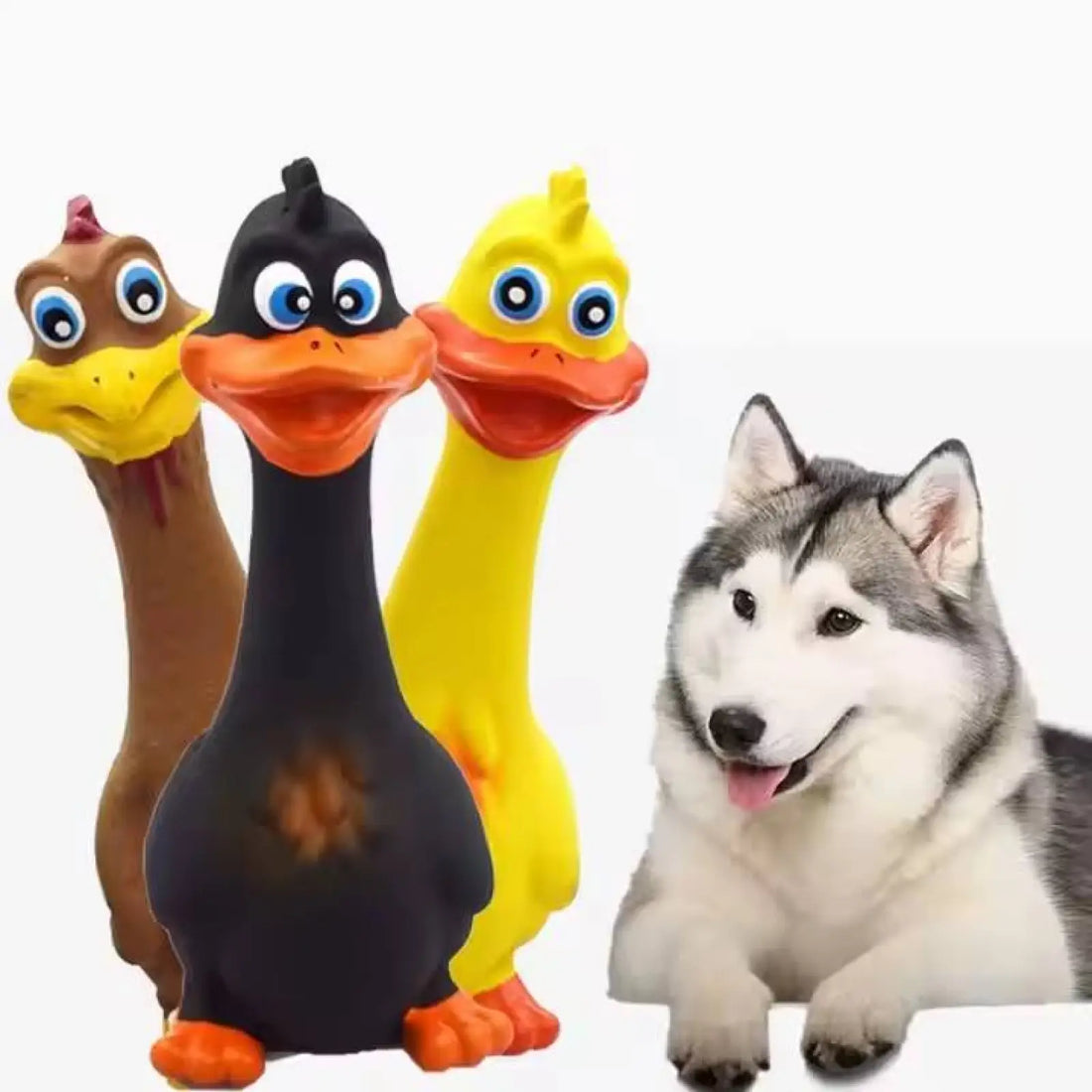 Screaming Chicken Squeaky Dog Toys 3 Pack Tpr Pet Supplies