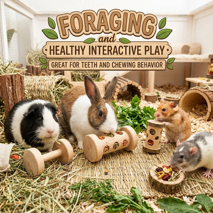 Play Toys Rollers, Barbells, Dumbbells &amp; More Perfect for Cavy, Rabbits &amp; Rodents
