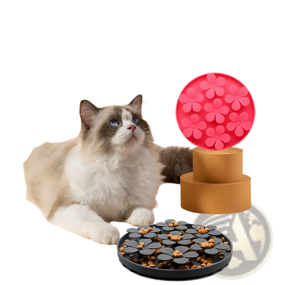 Silicone Pet Licking Mat and Slow Feeder Food Set