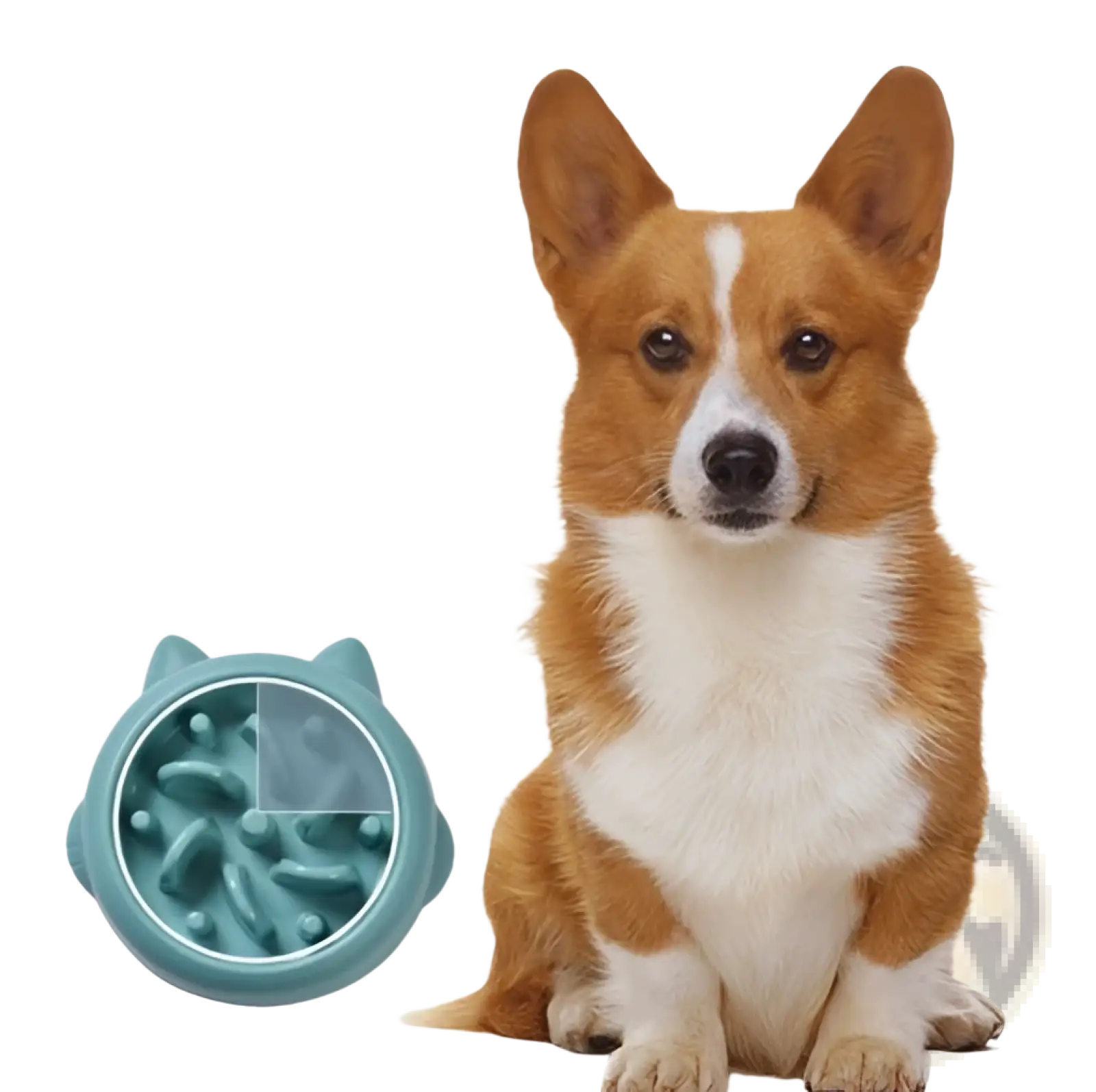 Slow Feeder Dog Bowl Anti Gulping Silicone Pet Dish