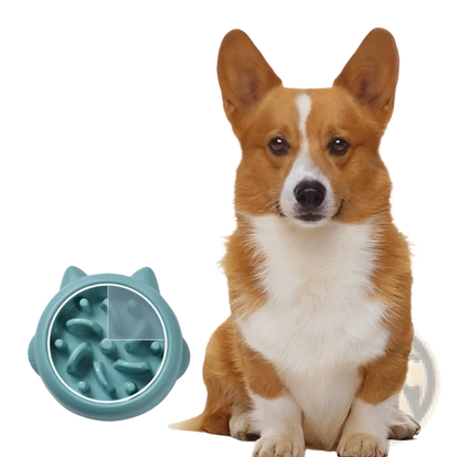 Slow Feeder Dog Bowl Anti Gulping Silicone Pet Dish