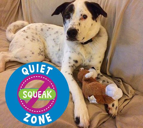 Small Stuffed NO SQUEAK Quiet Zone Dog Toys for Dogs 10-30 lbs.