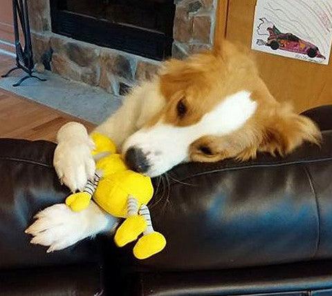 Small Stuffed NO SQUEAK Quiet Zone Dog Toys for Dogs 10-30 lbs.