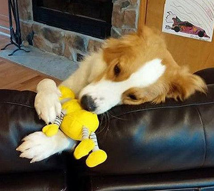 Small Stuffed SQUEAKY Dog &amp; Puppy Toys / 10-30 lbs.