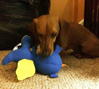 Small Stuffed SQUEAKY Dog &amp; Puppy Toys / 10-30 lbs.