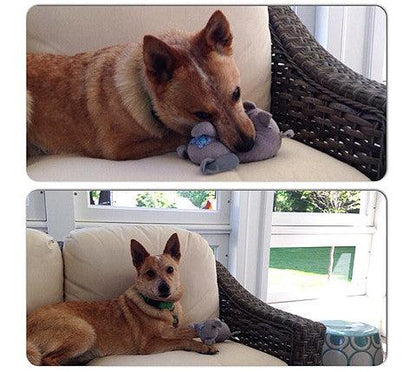 Small Stuffed SQUEAKY Dog &amp; Puppy Toys / 10-30 lbs.