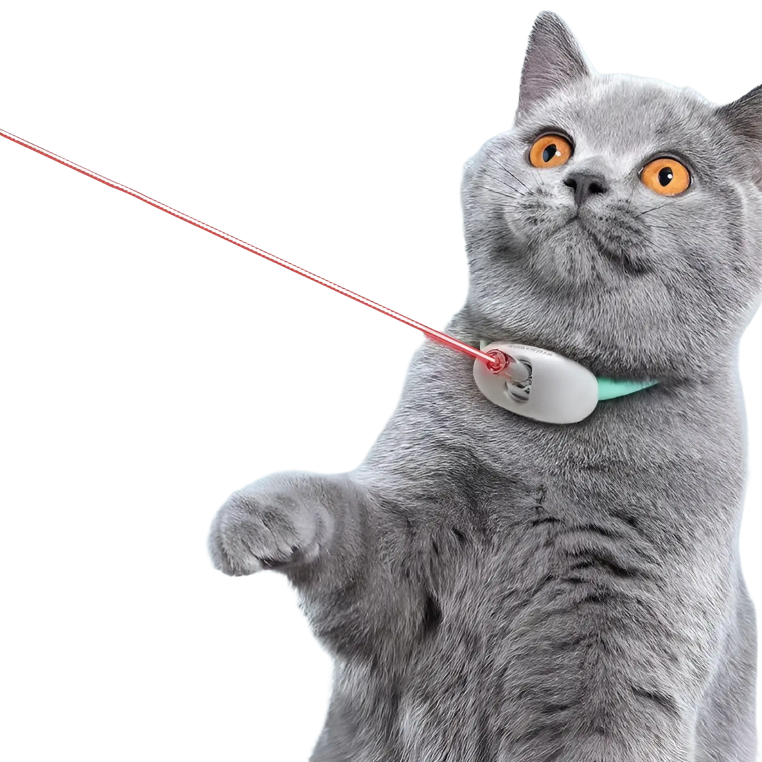 Smart Laser Cat Collar Interactive Usb Training Toy