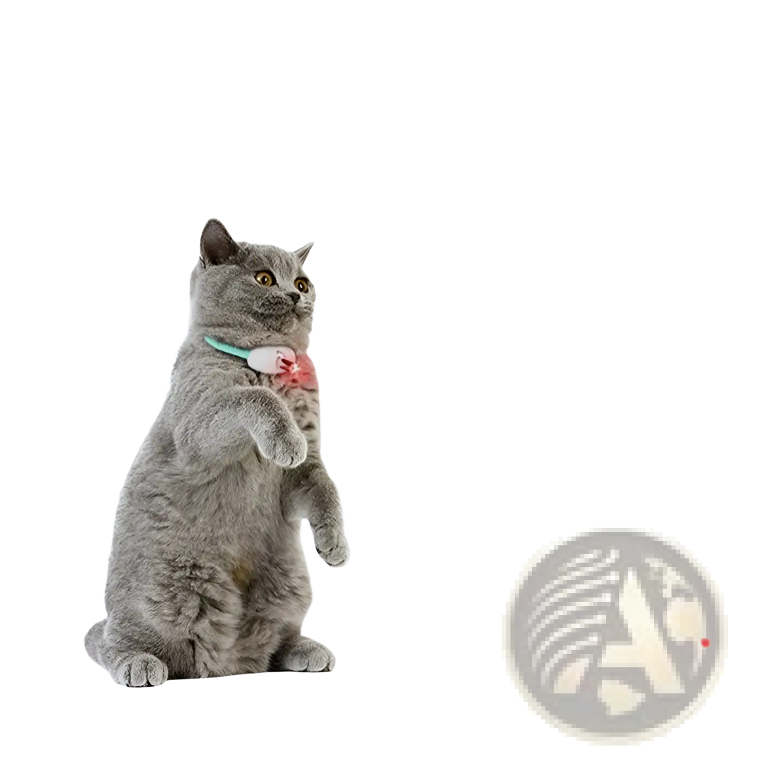 Smart Laser Cat Collar Interactive Usb Training Toy