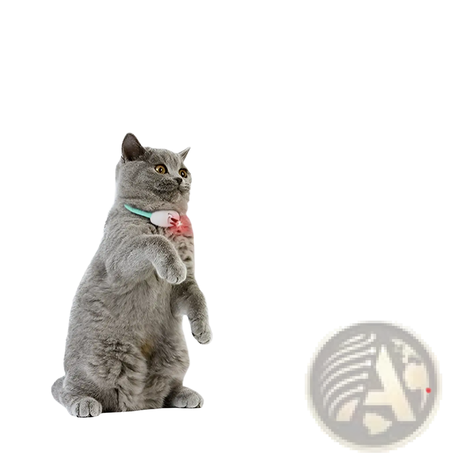 Smart Laser Cat Collar Interactive Usb Training Toy