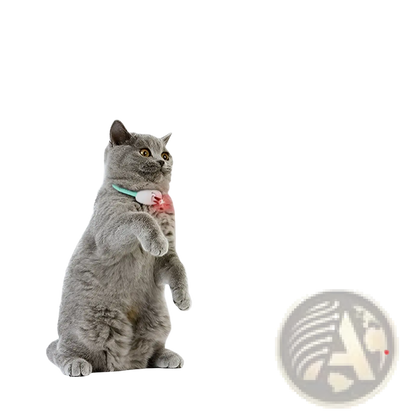Smart Laser Cat Collar Interactive Usb Training Toy