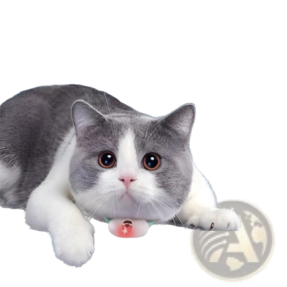 Smart Laser Cat Collar Interactive Usb Training Toy