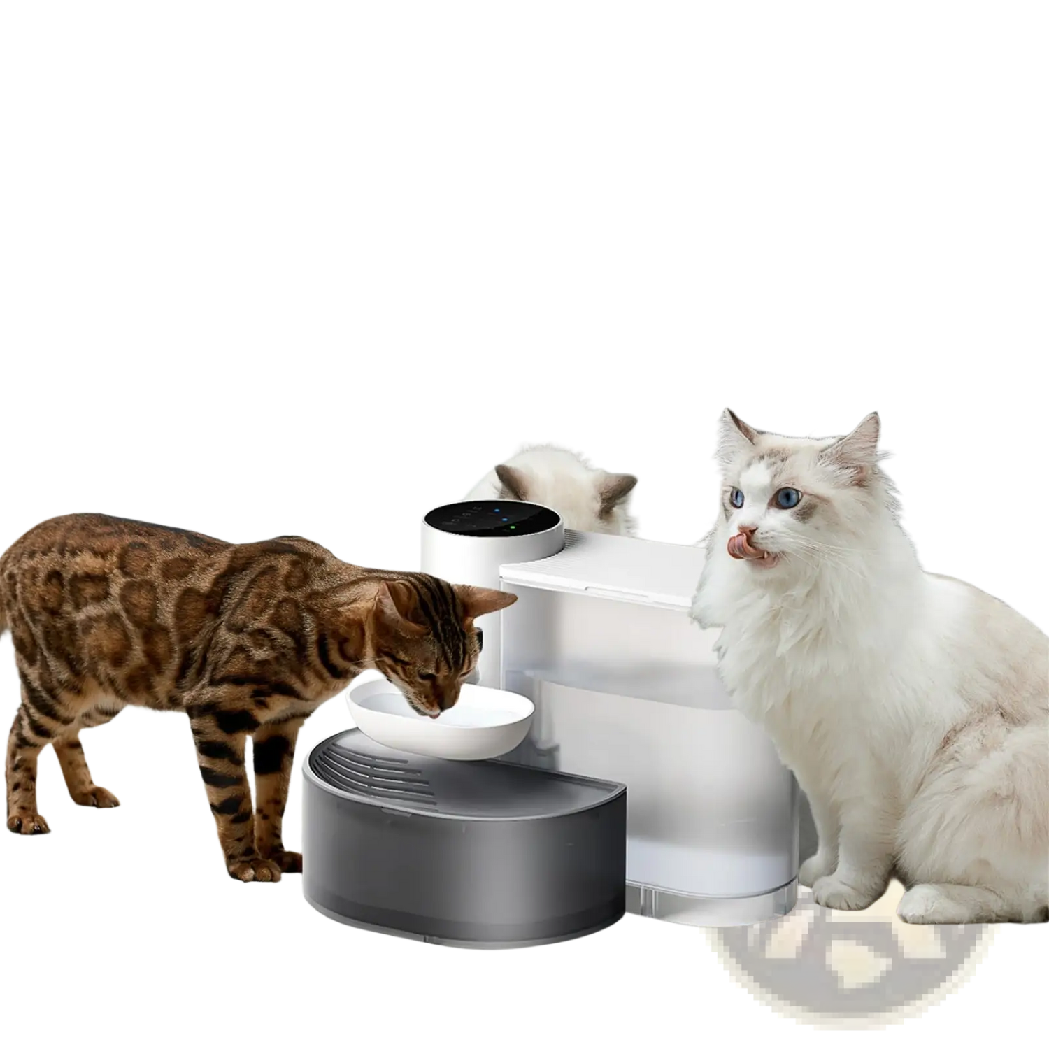 Smart Pet Water Fountain 3l Cordless Rechargeable Bowl