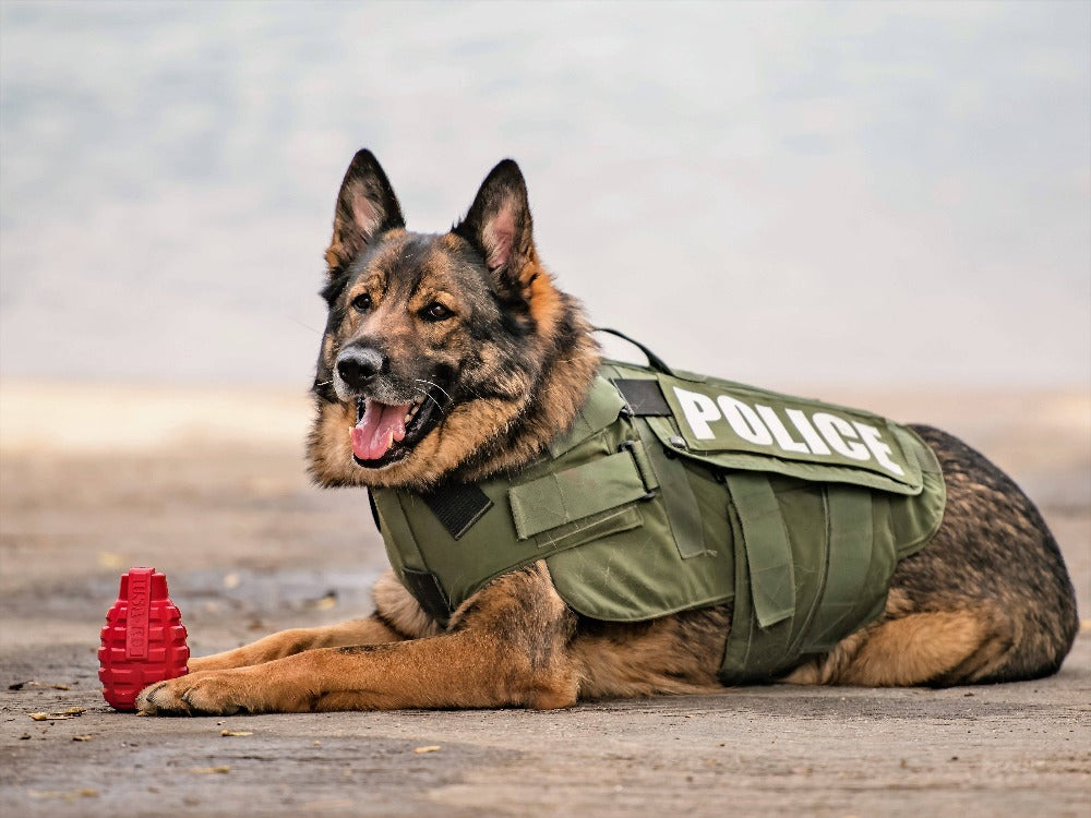 USA-K9 Grenade Shaped eDispenser Durable Dog Chew Toy &amp; Treat Dispenser - Army Green