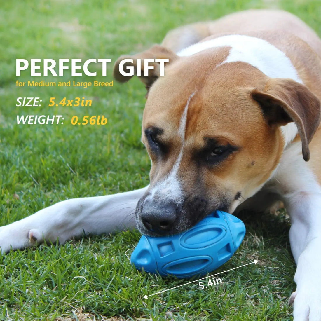 Squeaky Rubber Dog Rugby Ball Durable Fetch Toy