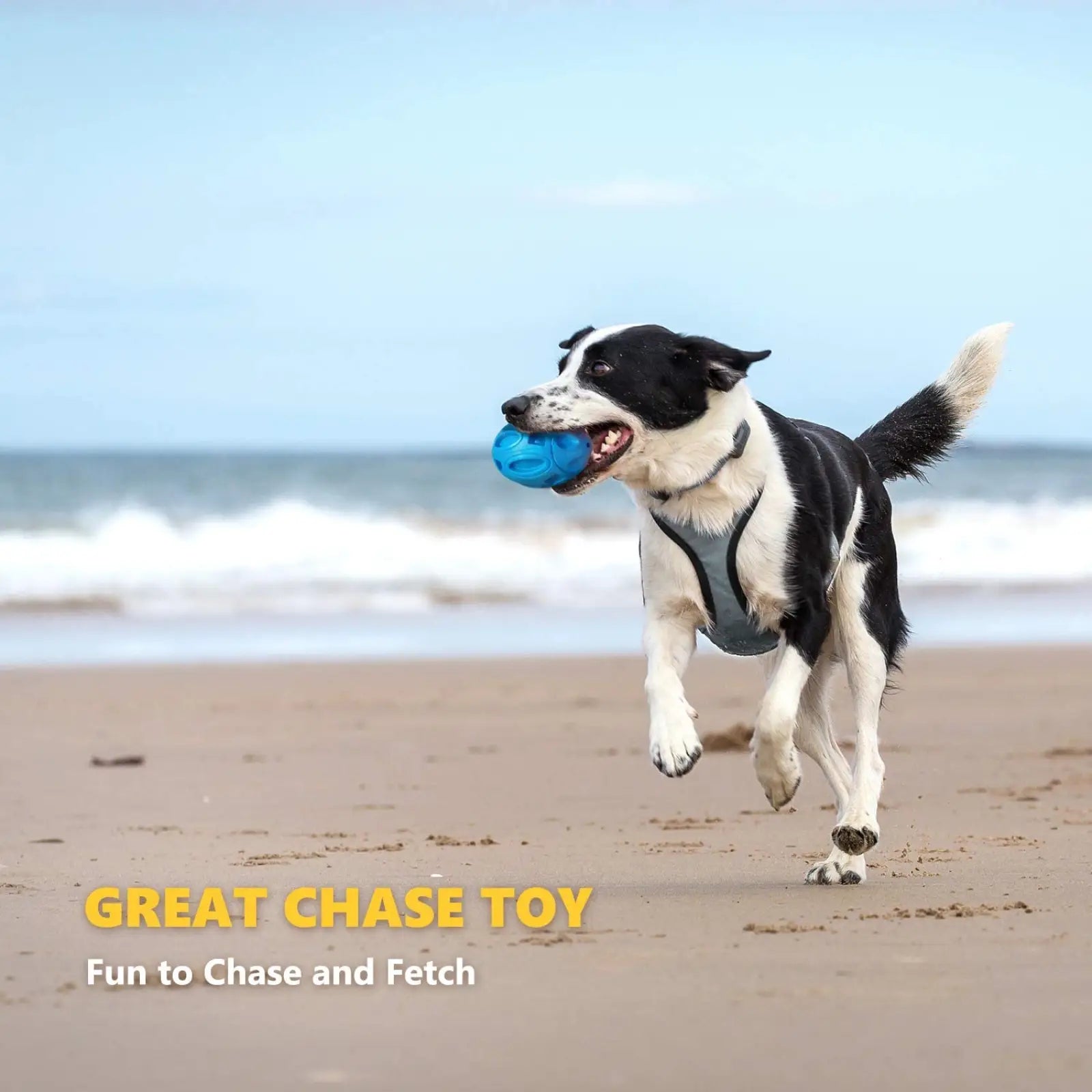 Squeaky Rubber Dog Rugby Ball Durable Fetch Toy