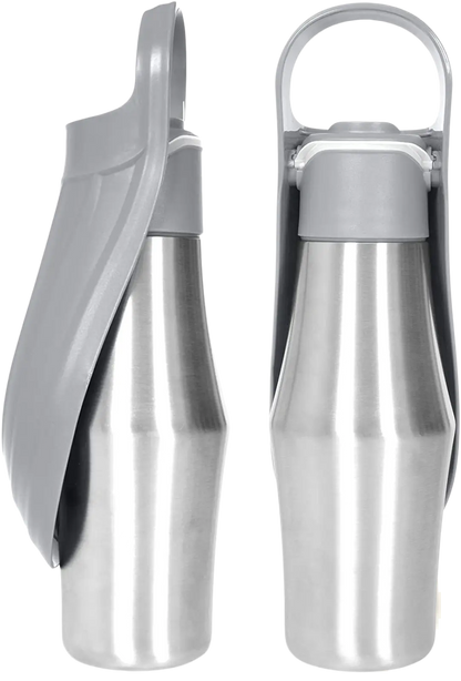 Stainless Steel Pet Water Bottle with Silicone Bowl