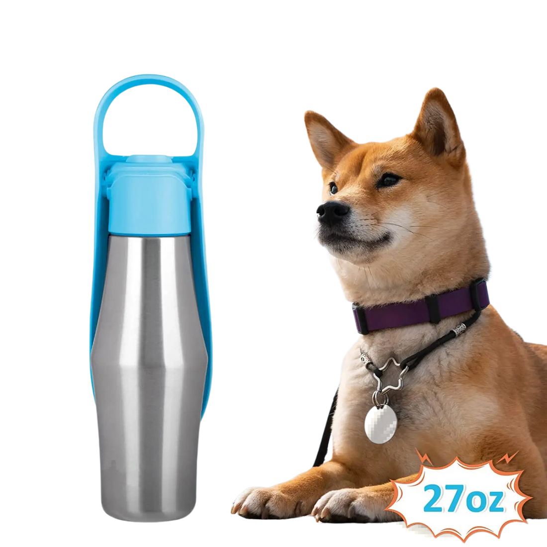 Stainless Steel Pet Water Bottle with Silicone Bowl