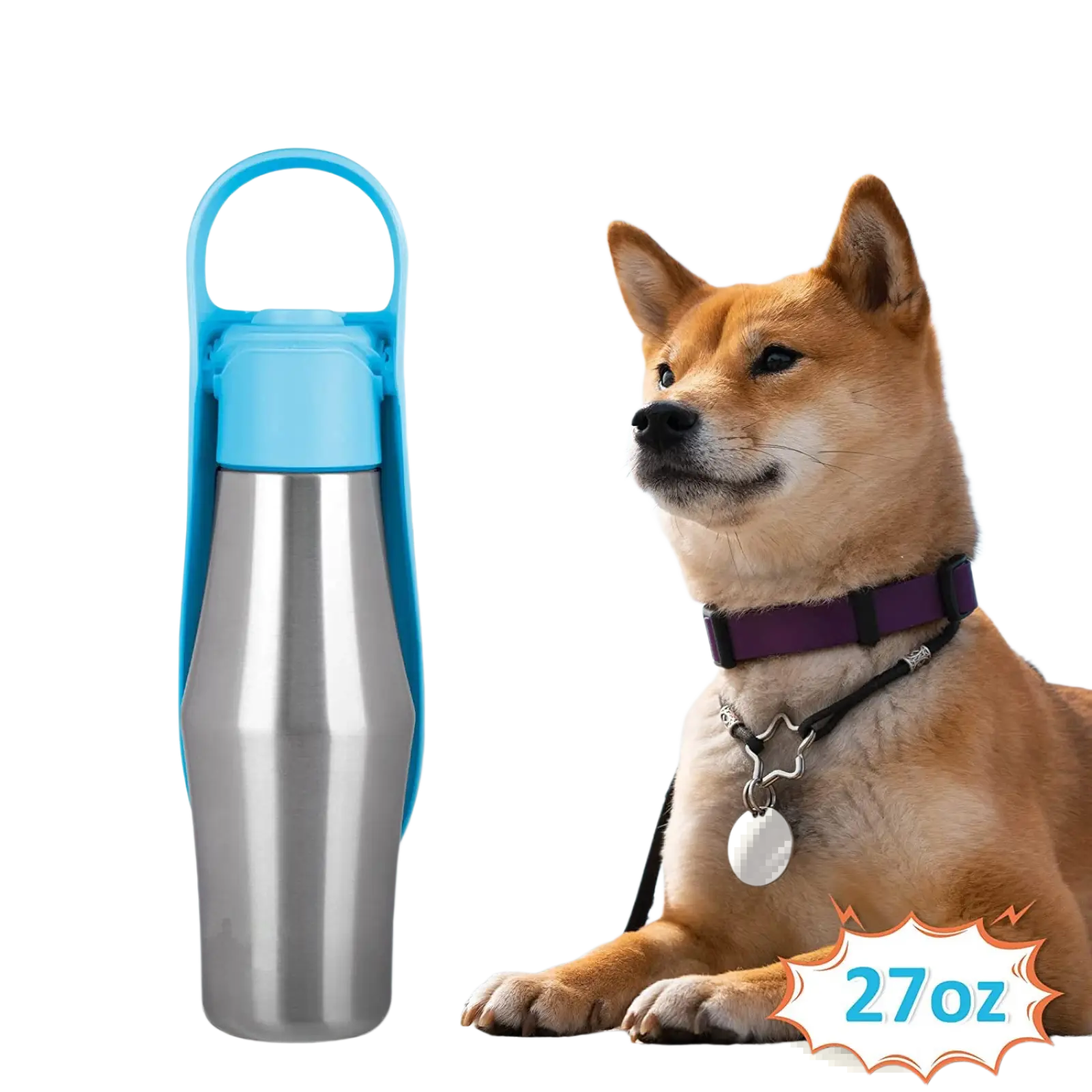 Stainless Steel Pet Water Bottle with Silicone Bowl