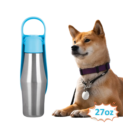 Stainless Steel Pet Water Bottle with Silicone Bowl