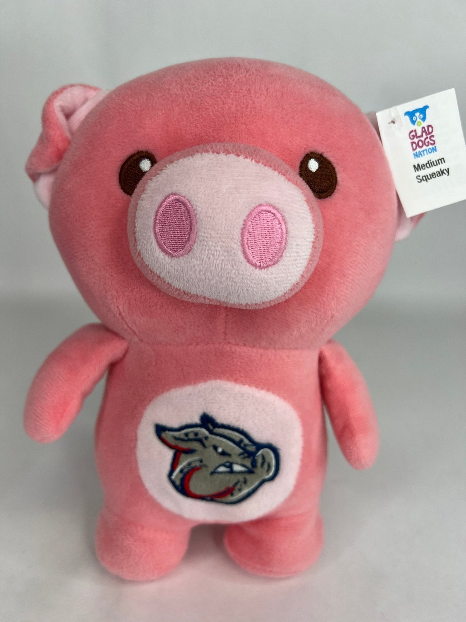 Team Spirit Stuffed SQUEAKY Dog Toys: Sport Mascots &amp; Players of All Sizes