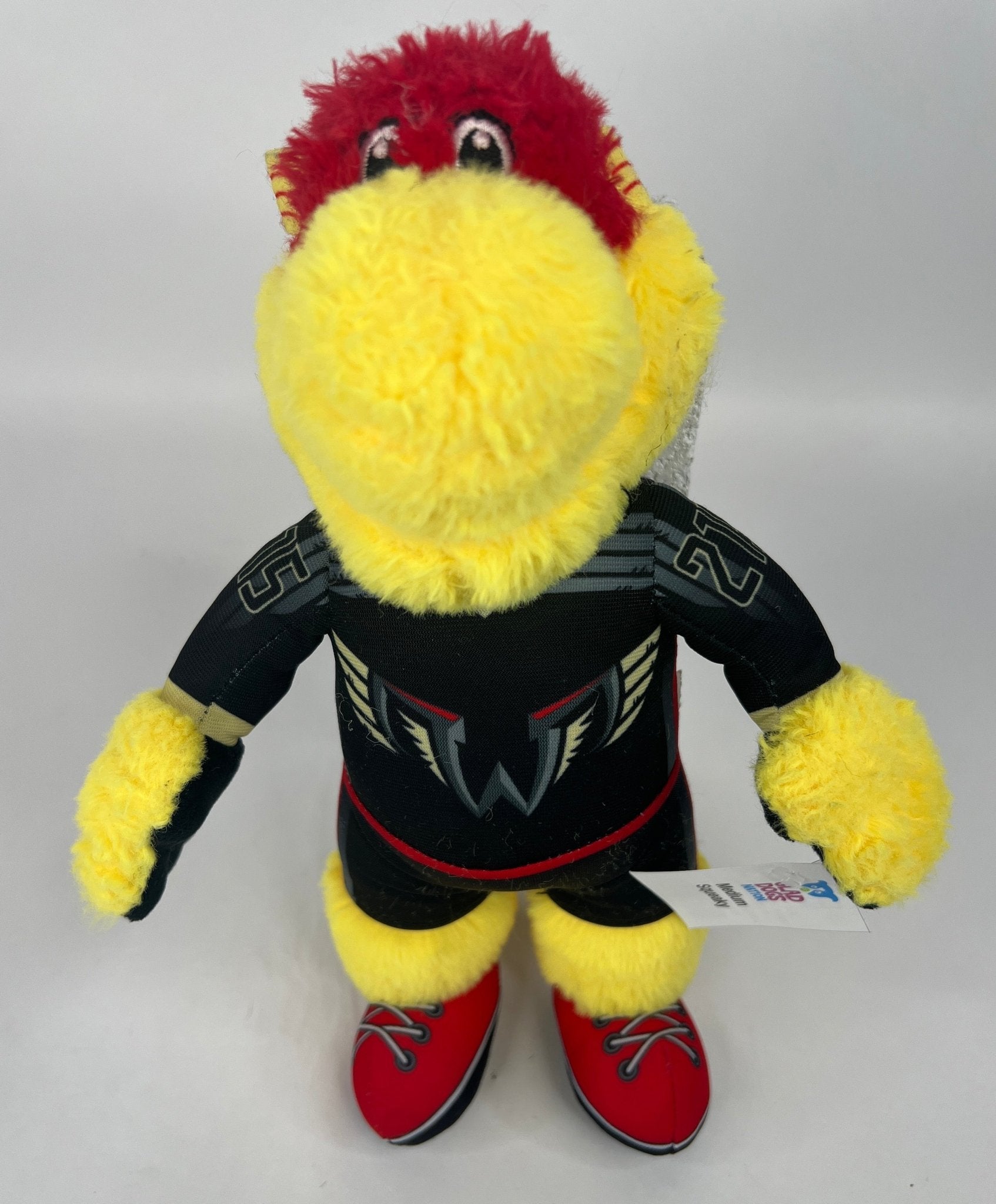 Team Spirit Stuffed SQUEAKY Dog Toys: Sport Mascots &amp; Players of All Sizes
