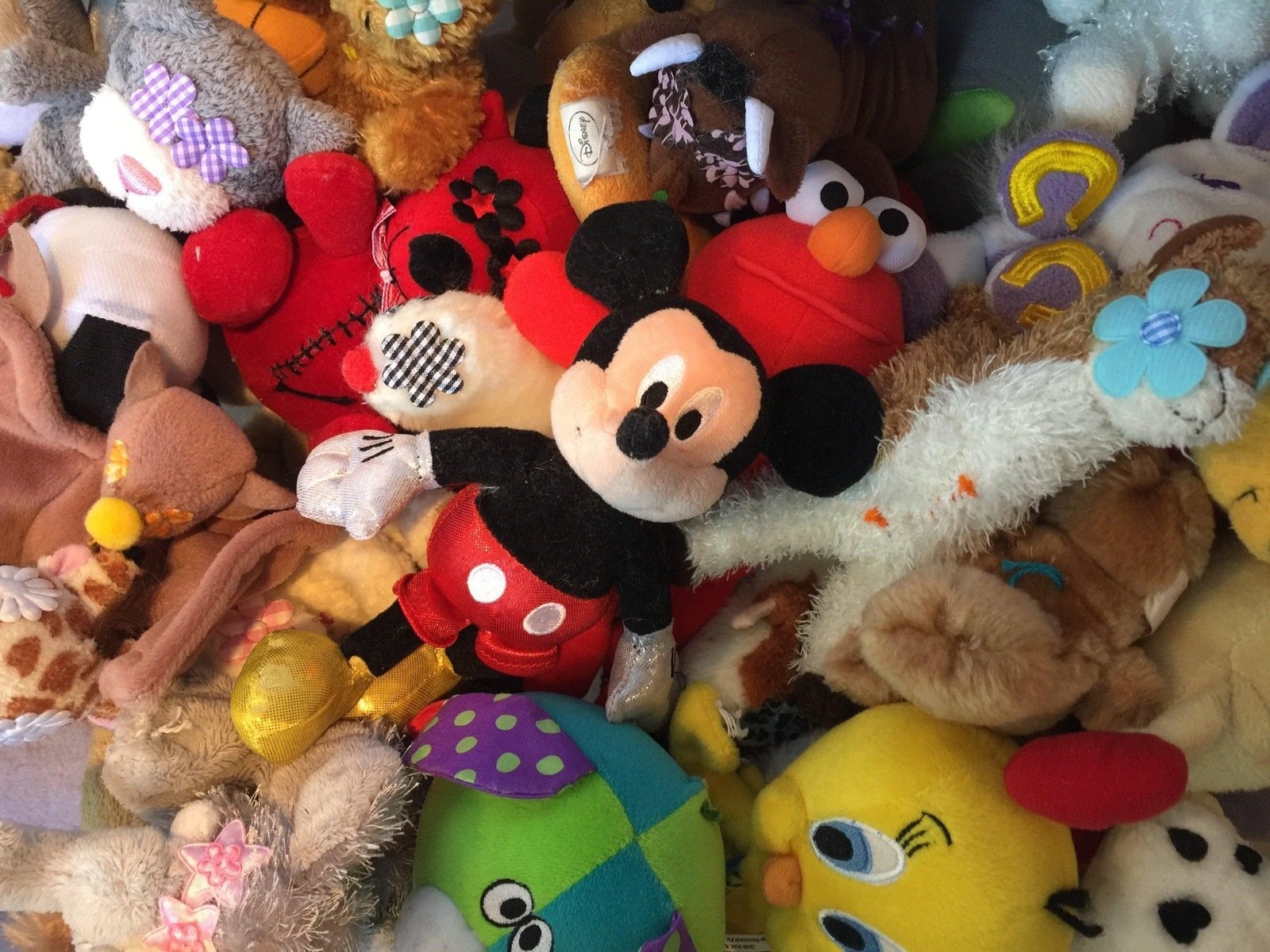 Tiny SQUEAKY Stuffed Toys for Dogs &amp; Cats / 5"-6"