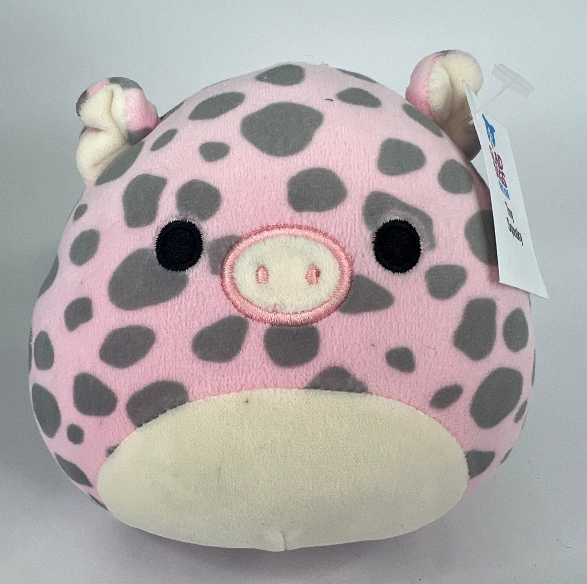 BOGO! Tiny Squishy Cuddlers Super Soft Plush Pet Toys: Squeak &amp; NO Squeak