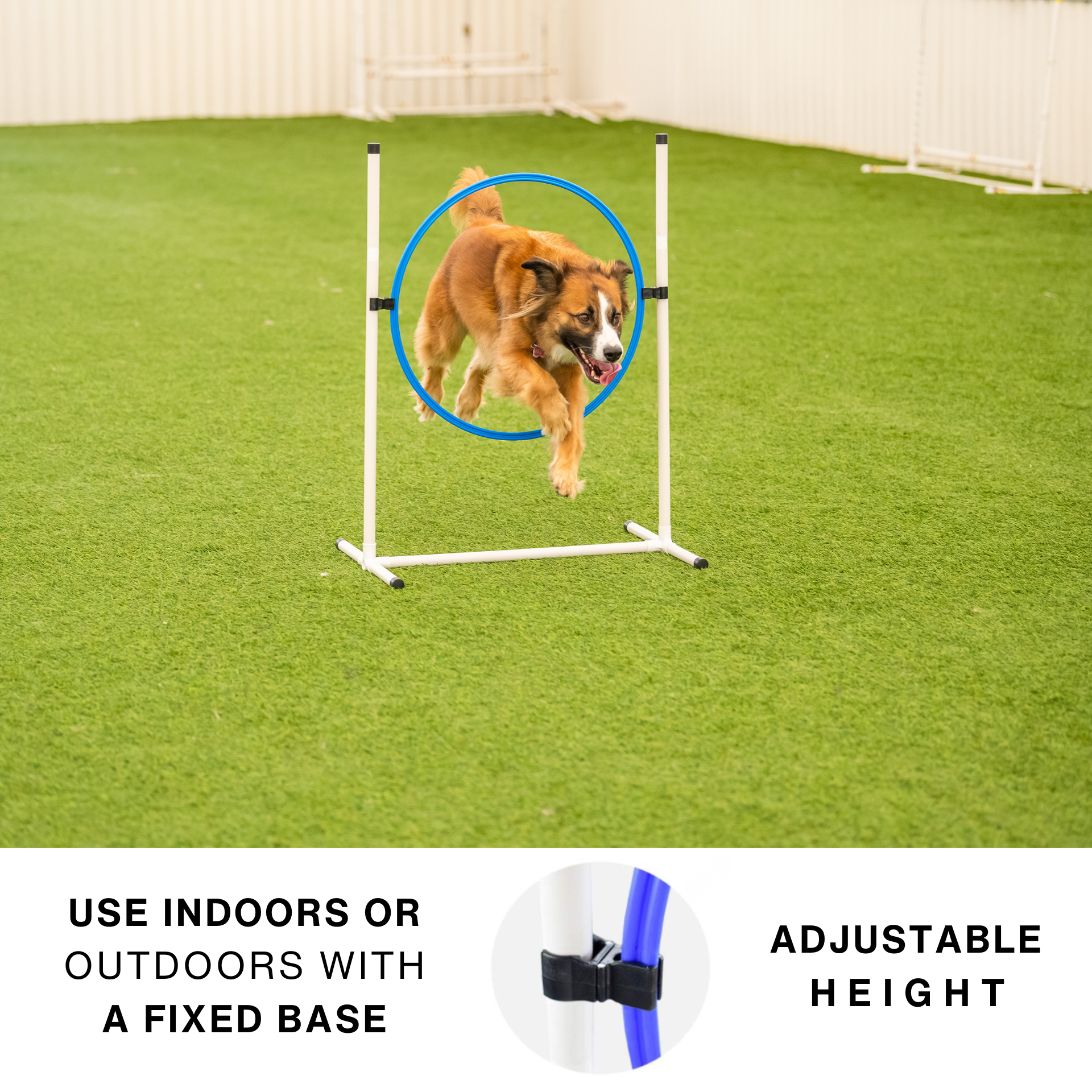 Better Sporting Dogs 3 Piece Dog Agility Equipment Set – with Jumps &amp; Tunnel