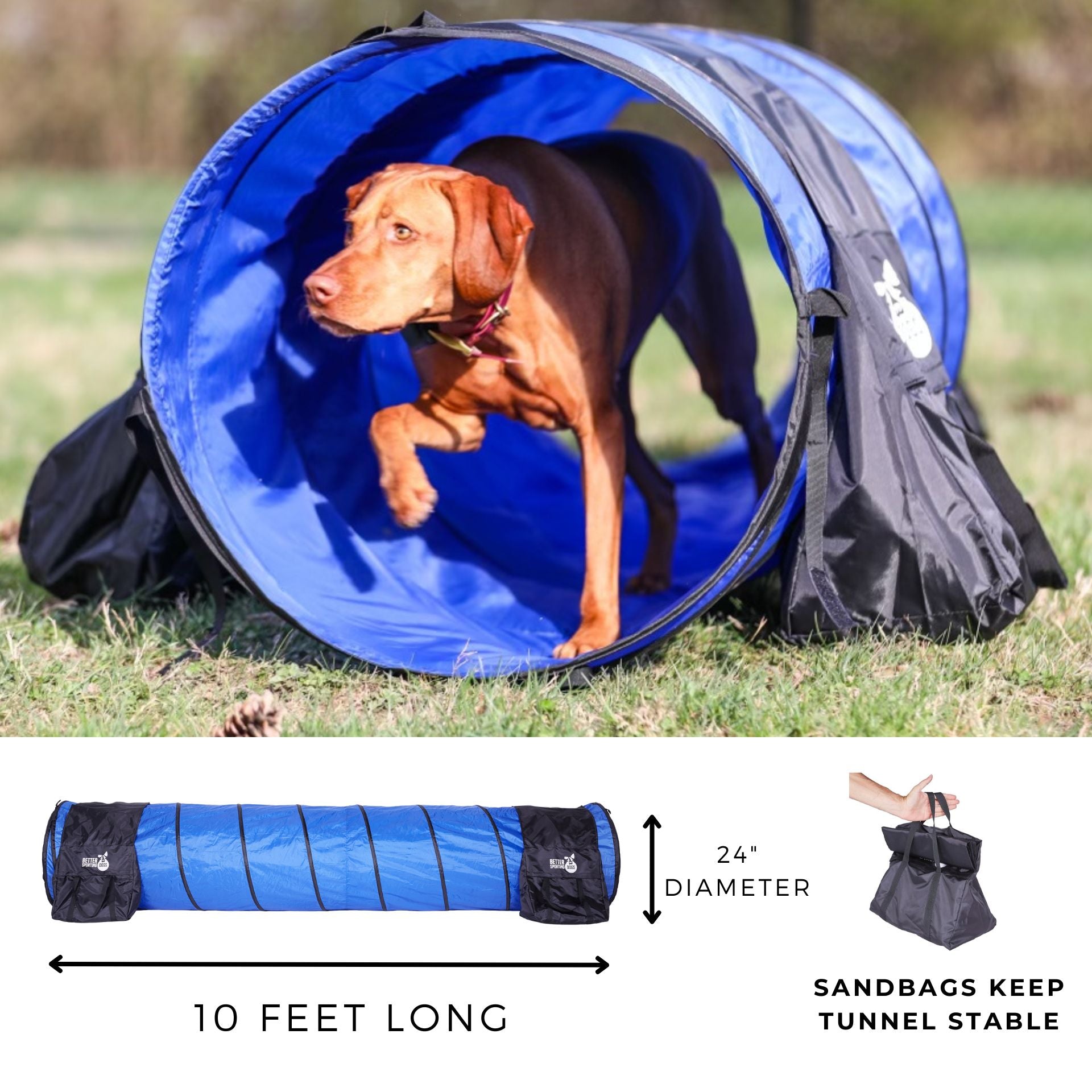 Better Sporting Dogs 7 Piece Dog Agility Equipment Set –  with Jumps, Tunnels, Pause Box &amp; Weave Poles