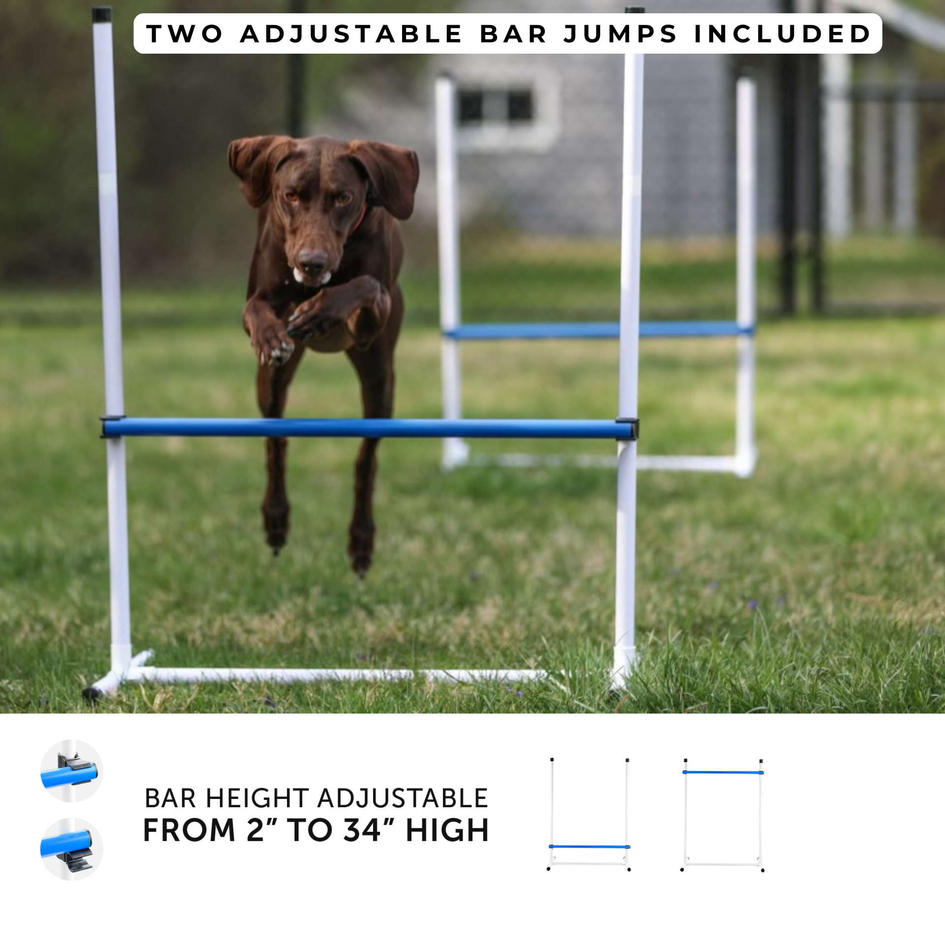 Better Sporting Dogs 7 Piece Dog Agility Equipment Set –  with Jumps, Tunnels, Pause Box &amp; Weave Poles