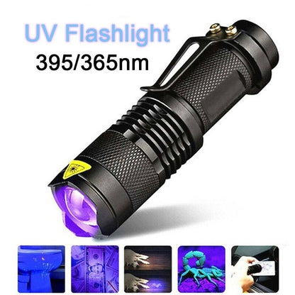 UV 365nm light wood&