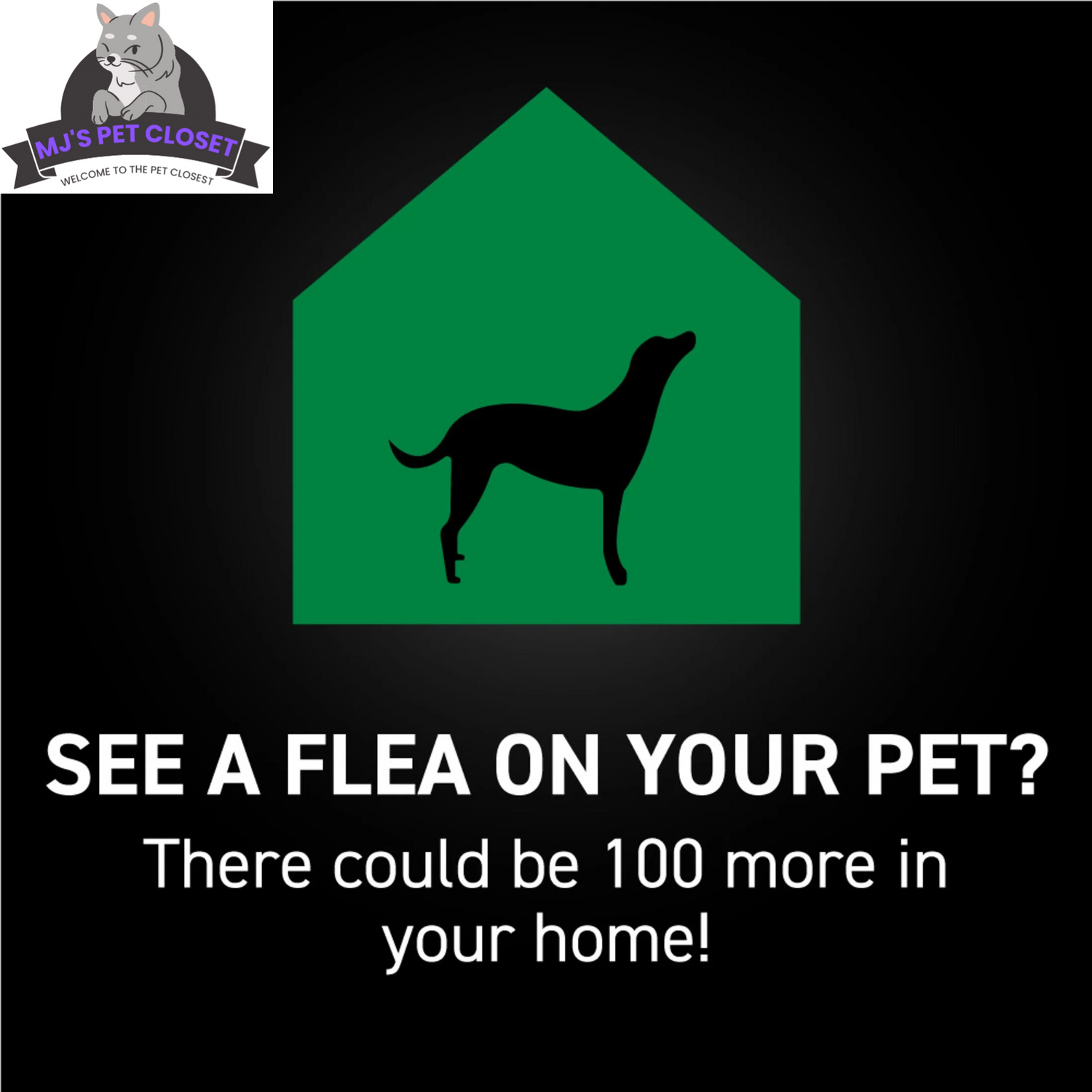 Protect Your Dog from Fleas &amp; Ticks with NEXTSTAR: Fast-Acting 3-Month Supply for Dogs 45-88 Lbs