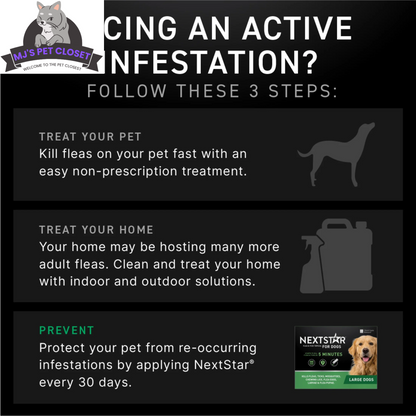 Protect Your Dog from Fleas &amp; Ticks with NEXTSTAR: Fast-Acting 3-Month Supply for Dogs 45-88 Lbs