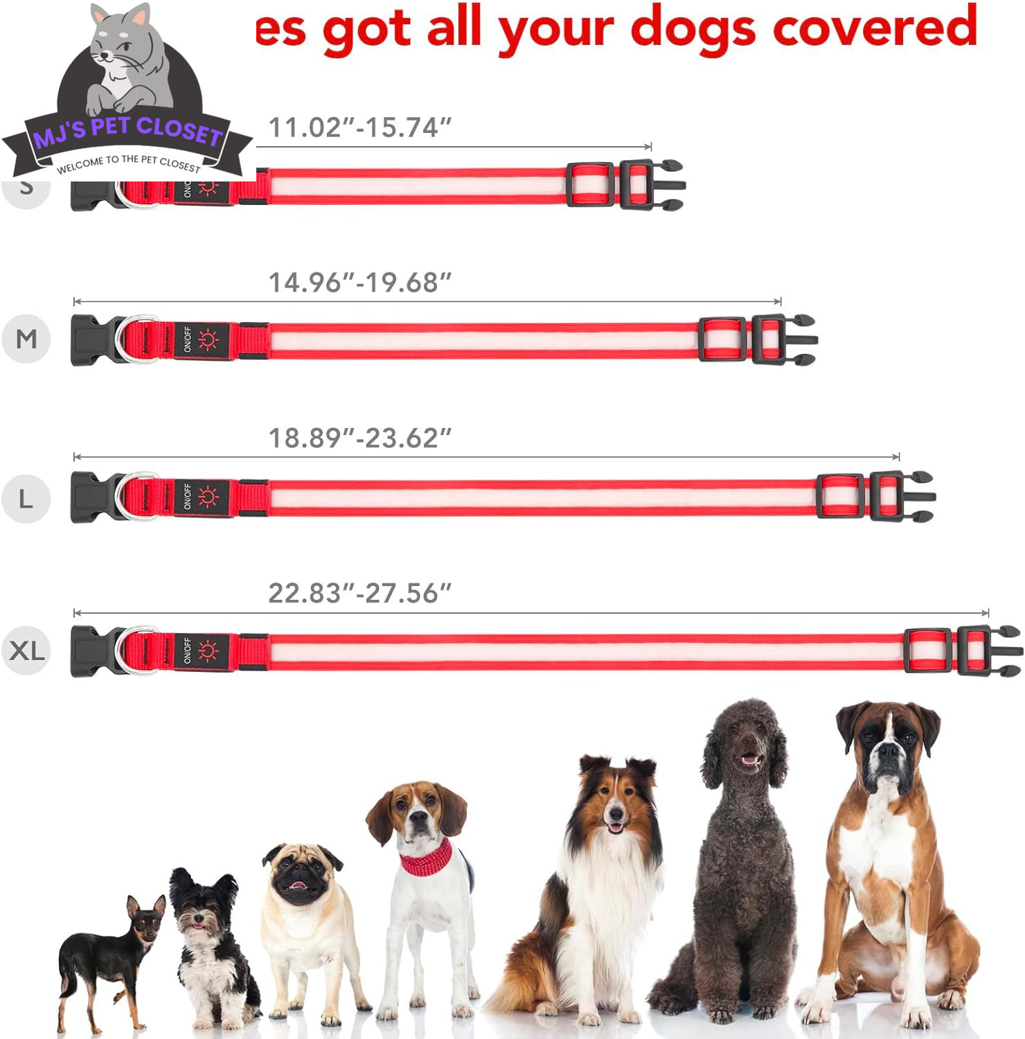 Brighten up your pup&