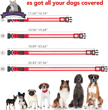 Brighten up your pup&