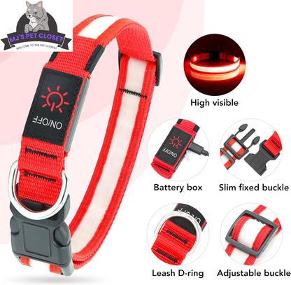Brighten up your pup&
