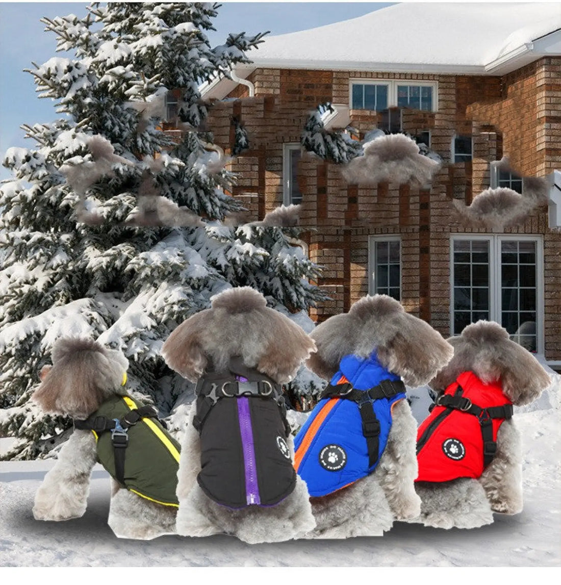 Waterproof Dog Harness Jacket Cotton Padded Coat