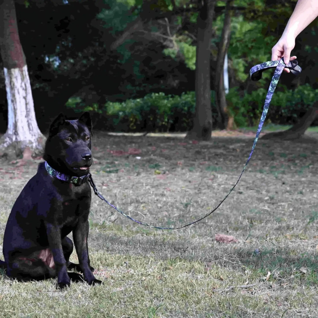 Waterproof Pvc Dog Leash and Collar Set Small