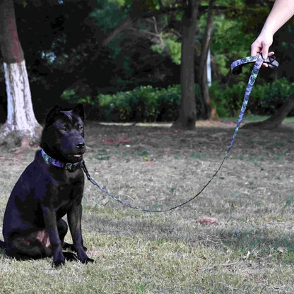 Waterproof Pvc Dog Leash and Collar Set Small