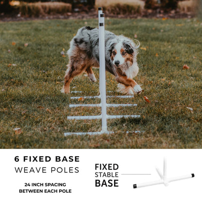 Better Sporting Dogs 5 Piece Dog Agility Equipment Set –  with Jumps, Tunnel, Pause Box &amp; Weave Poles